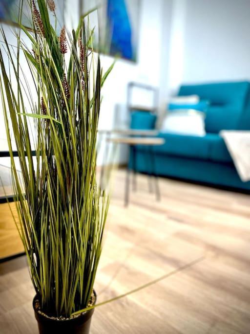 Ferienwohnung Mychoice Salmarina Rota Exterior foto